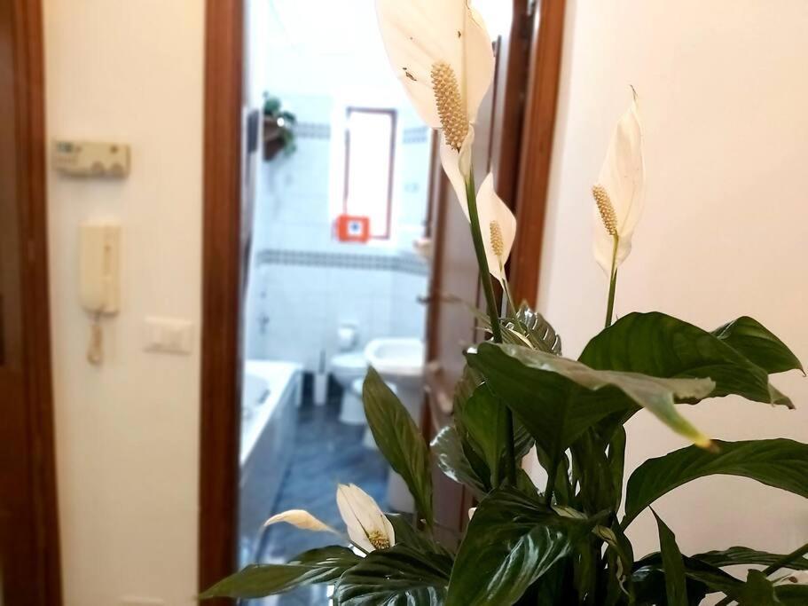 Appartamento Al Colosseo Róma Kültér fotó
